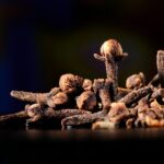 découvrez l'univers fascinant des épices : des arômes envoûtants aux saveurs uniques, explorez comment ces ingrédients essentiels peuvent transformer vos plats et rehausser votre cuisine au quotidien.