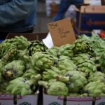 découvrez les bienfaits nutritionnels des artichauts, leur histoire fascinante et des recettes délicieuses pour les intégrer à vos repas. apprenez comment choisir, préparer et cuisiner ces légumes savoureux, riches en antioxydants.