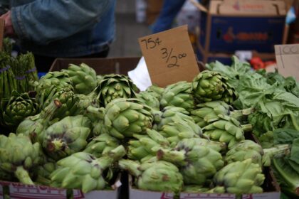 découvrez les bienfaits nutritionnels des artichauts, leur histoire fascinante et des recettes délicieuses pour les intégrer à vos repas. apprenez comment choisir, préparer et cuisiner ces légumes savoureux, riches en antioxydants.