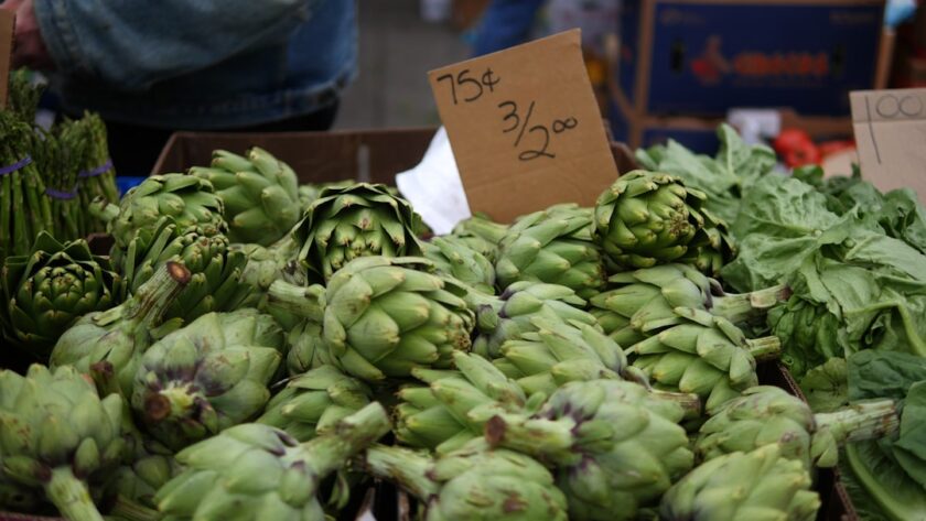 découvrez les bienfaits nutritionnels des artichauts, leur histoire fascinante et des recettes délicieuses pour les intégrer à vos repas. apprenez comment choisir, préparer et cuisiner ces légumes savoureux, riches en antioxydants.