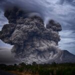 découvrez des remèdes naturels efficaces pour améliorer votre bien-être au quotidien. explorez des solutions alternatives pour soulager vos maux, booster votre énergie et favoriser une santé optimale grâce à la puissance de la nature.