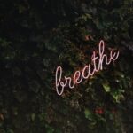 découvrez des conseils et des informations sur la santé pour améliorer votre bien-être physique et mental. explorez des articles sur la nutrition, l'exercice et des pratiques de vie saines adaptées à tous.