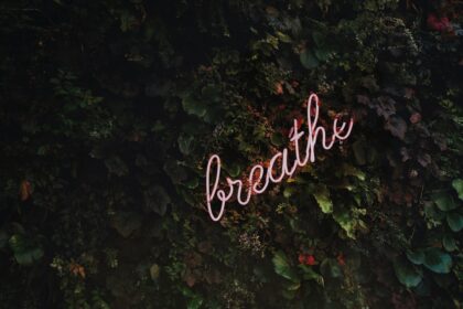 découvrez des conseils et des informations sur la santé pour améliorer votre bien-être physique et mental. explorez des articles sur la nutrition, l'exercice et des pratiques de vie saines adaptées à tous.