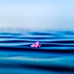 découvrez les bienfaits de la pleine conscience (mindfulness) pour améliorer votre bien-être mental et émotionnel. apprenez des techniques simples pour vivre l'instant présent, réduire le stress et cultiver la sérénité au quotidien.