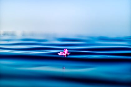découvrez les bienfaits de la pleine conscience (mindfulness) pour améliorer votre bien-être mental et émotionnel. apprenez des techniques simples pour vivre l'instant présent, réduire le stress et cultiver la sérénité au quotidien.