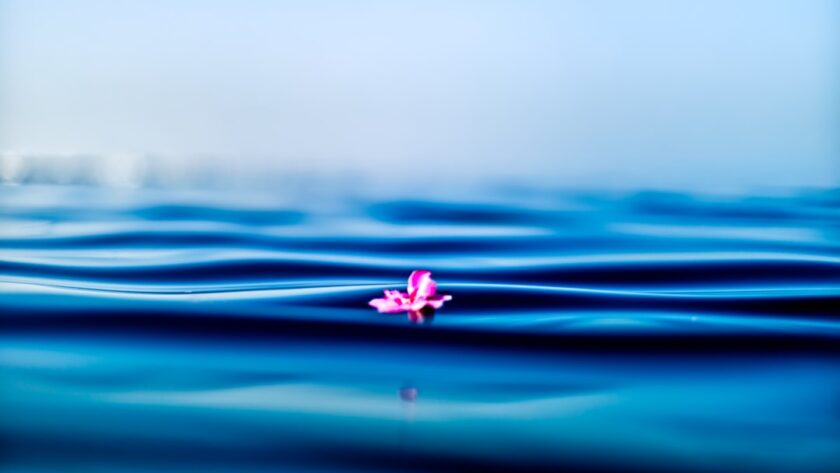 découvrez les bienfaits de la pleine conscience (mindfulness) pour améliorer votre bien-être mental et émotionnel. apprenez des techniques simples pour vivre l'instant présent, réduire le stress et cultiver la sérénité au quotidien.