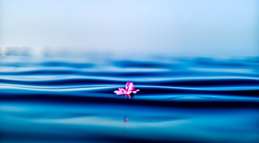 découvrez les bienfaits de la pleine conscience (mindfulness) pour améliorer votre bien-être mental et émotionnel. apprenez des techniques simples pour vivre l'instant présent, réduire le stress et cultiver la sérénité au quotidien.