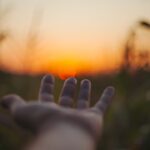 découvrez le pouvoir de la guérison naturelle avec nos conseils et techniques pour améliorer votre bien-être physique et émotionnel. explorez des méthodes variées allant de la méditation aux remèdes traditionnels pour favoriser votre équilibre intérieur.