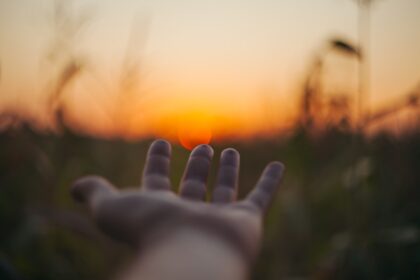 découvrez le pouvoir de la guérison naturelle avec nos conseils et techniques pour améliorer votre bien-être physique et émotionnel. explorez des méthodes variées allant de la méditation aux remèdes traditionnels pour favoriser votre équilibre intérieur.