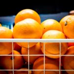 découvrez la naturopathie, une approche holistique de la santé qui privilégie les traitements naturels et préventifs. apprenez à améliorer votre bien-être physique et mental grâce à des thérapies douces et des conseils personnalisés sur l'alimentation, l'hygiène de vie et les remèdes naturels.