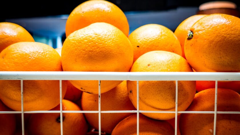 découvrez la naturopathie, une approche holistique de la santé qui privilégie les traitements naturels et préventifs. apprenez à améliorer votre bien-être physique et mental grâce à des thérapies douces et des conseils personnalisés sur l'alimentation, l'hygiène de vie et les remèdes naturels.