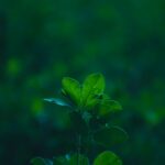découvrez notre sélection de lifehacks astucieux pour simplifier votre quotidien ! des astuces pratiques et ingénieuses pour gagner du temps, économiser de l'argent et améliorer votre qualité de vie. transformez vos tâches quotidiennes en un jeu d'enfant grâce à nos conseils faciles à appliquer.