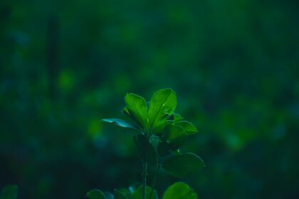 découvrez notre sélection de lifehacks astucieux pour simplifier votre quotidien ! des astuces pratiques et ingénieuses pour gagner du temps, économiser de l'argent et améliorer votre qualité de vie. transformez vos tâches quotidiennes en un jeu d'enfant grâce à nos conseils faciles à appliquer.