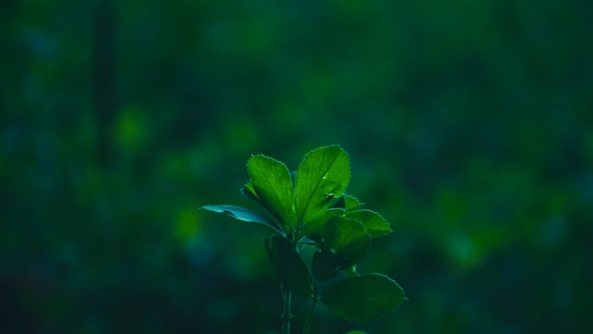 découvrez notre sélection de lifehacks astucieux pour simplifier votre quotidien ! des astuces pratiques et ingénieuses pour gagner du temps, économiser de l'argent et améliorer votre qualité de vie. transformez vos tâches quotidiennes en un jeu d'enfant grâce à nos conseils faciles à appliquer.