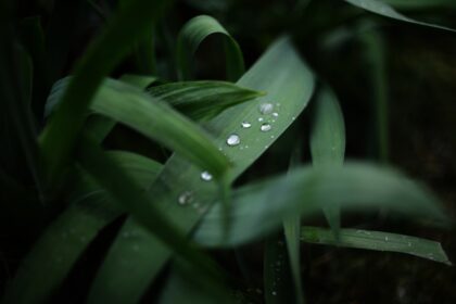 découvrez des solutions efficaces pour soulager les nausées, qu'elles soient causées par le mal des transports, la grossesse ou d'autres facteurs. trouvez des conseils pratiques et des remèdes naturels pour un bien-être rapide.