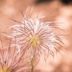 découvrez les bienfaits des remèdes à base de plantes pour améliorer votre bien-être naturel. explorez des solutions holistiques pour soulager divers maux et favoriser une santé optimale grâce à des ingrédients issus de la nature.