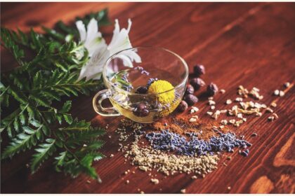 découvrez des solutions naturelles pour soulager efficacement vos maux de tête. apprenez des méthodes sans médicaments qui apaisent la douleur tout en favorisant votre bien-être global.