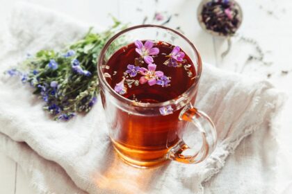 découvrez des remèdes naturels efficaces pour améliorer votre santé et bien-être au quotidien. explorez des solutions à base de plantes, d'huiles essentielles et d'autres ingrédients naturels, pour des soins doux et respectueux de votre corps.