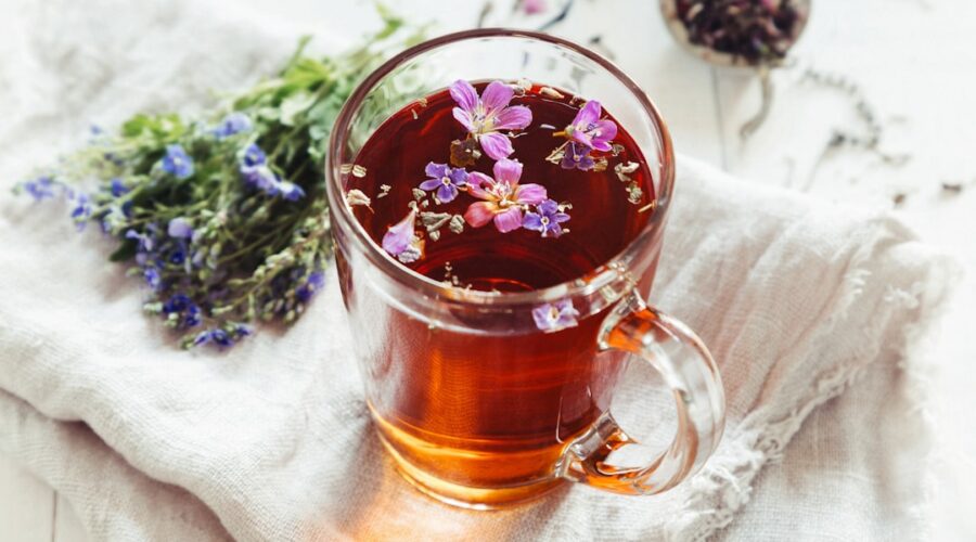 découvrez des remèdes naturels efficaces pour améliorer votre santé et bien-être au quotidien. explorez des solutions à base de plantes, d'huiles essentielles et d'autres ingrédients naturels, pour des soins doux et respectueux de votre corps.