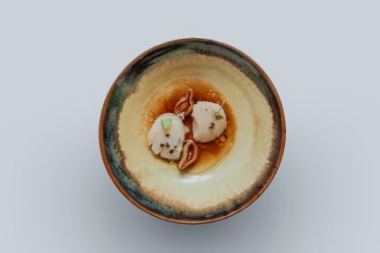 découvrez les délicieuses coquilles saint-jacques, un met raffiné et savoureux, parfait pour les repas festifs ou les dîners entre amis. apprenez à les préparer avec nos recettes simples et savoureuses, et savourez la mer dans chaque bouchée.