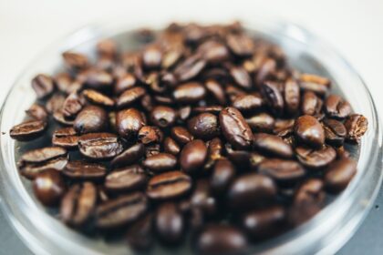 découvrez les fèves de tonka, des graines parfumées aux notes sucrées et épicées, idéales pour rehausser vos plats sucrés et salés. explorez leur utilisation en pâtisserie, en cuisine et en parfumerie.