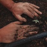 découvrez l'art du jardinage avec nos conseils pratiques, astuces et inspirations pour créer un espace vert épanouissant. apprenez à cultiver vos plantes, légumes et fleurs, tout en respectant l'environnement.
