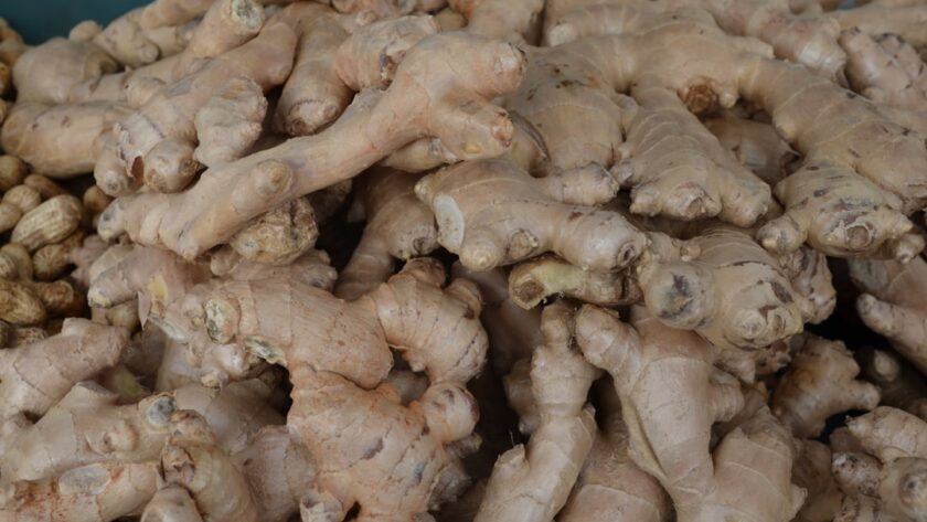 découvrez les bienfaits du gingembre, ce rhizome aux multiples vertus. explorez ses propriétés médicinales, ses usages en cuisine et ses effets pétillants sur la santé. idéal pour rehausser vos plats ou pour ses bienfaits en infusion, le gingembre est un allié incontournable de votre bien-être.