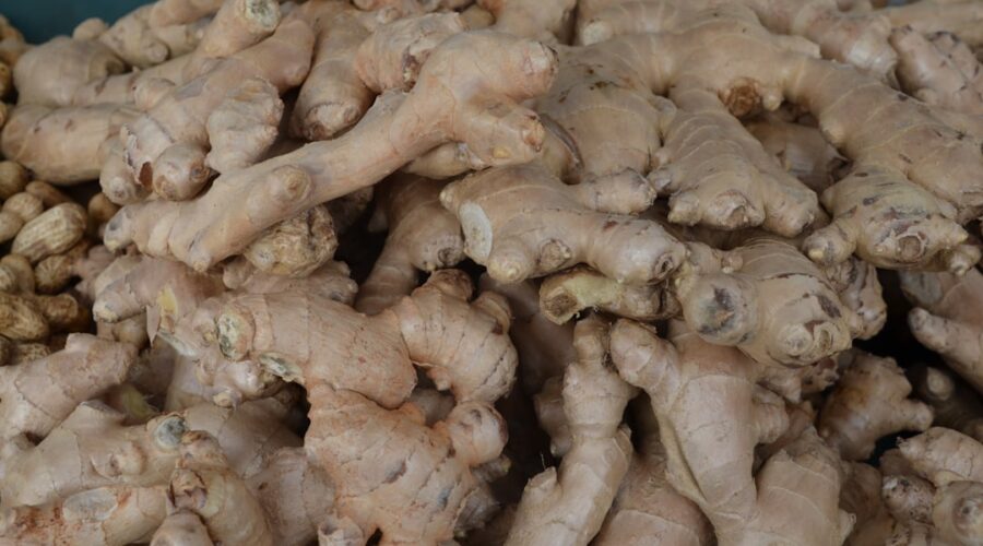 découvrez les bienfaits du gingembre, ce rhizome aux multiples vertus. explorez ses propriétés médicinales, ses usages en cuisine et ses effets pétillants sur la santé. idéal pour rehausser vos plats ou pour ses bienfaits en infusion, le gingembre est un allié incontournable de votre bien-être.