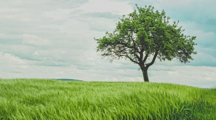 découvrez les bienfaits d'une détoxification naturelle pour revitaliser votre corps. apprenez des méthodes simples, des recettes saines et des conseils pratiques pour éliminer les toxines et améliorer votre bien-être au quotidien.