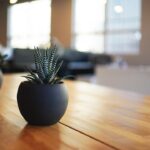 découvrez nos astuces de nettoyage à domicile pour maintenir votre espace propre et organisé. apprenez des techniques simples et efficaces pour un entretien facile de votre maison.