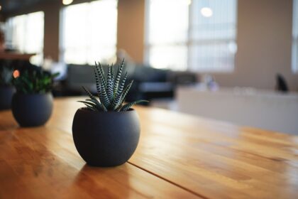 découvrez nos astuces de nettoyage à domicile pour maintenir votre espace propre et organisé. apprenez des techniques simples et efficaces pour un entretien facile de votre maison.