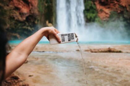 découvrez l'univers des essences naturelles : des ingrédients purs et authentiques pour sublimer votre bien-être au quotidien. profitez des bienfaits des huiles essentielles, des extraits botaniques et des aromathérapies pour une approche saine et holistique.