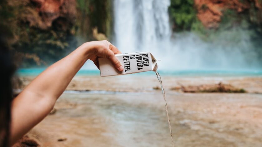 découvrez l'univers des essences naturelles : des ingrédients purs et authentiques pour sublimer votre bien-être au quotidien. profitez des bienfaits des huiles essentielles, des extraits botaniques et des aromathérapies pour une approche saine et holistique.