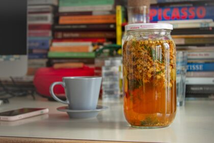 découvrez les causes, symptômes et traitements des ulcères. informez-vous sur les meilleures pratiques pour prévenir et soulager cette affection digestive courante.