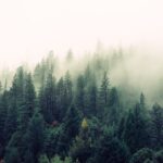 découvrez les bienfaits d'une détoxification naturelle pour votre corps ! apprenez à éliminer les toxines, améliorer votre santé et revitaliser votre bien-être grâce à des méthodes douces et efficaces. explorez nos conseils et recettes pour une détox réussie.