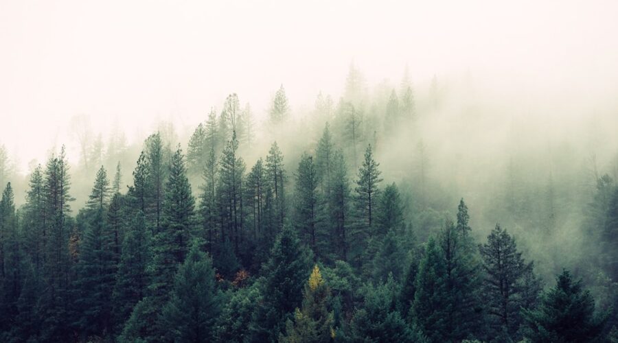 découvrez les bienfaits d'une détoxification naturelle pour votre corps ! apprenez à éliminer les toxines, améliorer votre santé et revitaliser votre bien-être grâce à des méthodes douces et efficaces. explorez nos conseils et recettes pour une détox réussie.