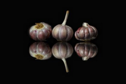 découvrez l'ail, un ingrédient incontournable de la cuisine méditerranéenne, reconnu pour ses bienfaits santé et ses propriétés aromatiques. apprenez à l'incorporer dans vos recettes pour rehausser vos plats avec saveurs et nutrition.