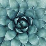 découvrez les propriétés naturelles antibactériennes qui protègent votre santé et votre environnement. apprenez comment les solutions antibactériennes à base d'ingrédients naturels peuvent vous aider à lutter contre les bactéries tout en respectant la planète.