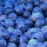 découvrez l'univers fascinant des fruits : des saveurs exquises, des bienfaits nutritifs et une variété infinie pour enrichir votre alimentation au quotidien.