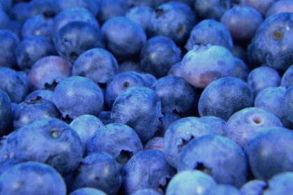 découvrez l'univers fascinant des fruits : des saveurs exquises, des bienfaits nutritifs et une variété infinie pour enrichir votre alimentation au quotidien.