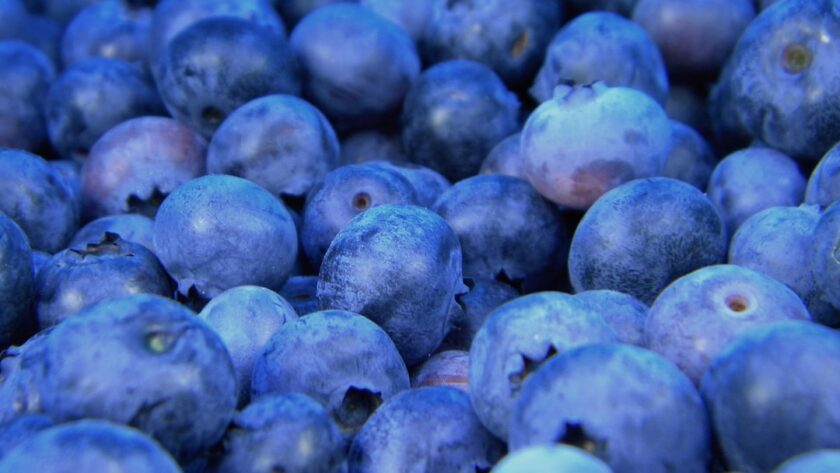 découvrez l'univers fascinant des fruits : des saveurs exquises, des bienfaits nutritifs et une variété infinie pour enrichir votre alimentation au quotidien.