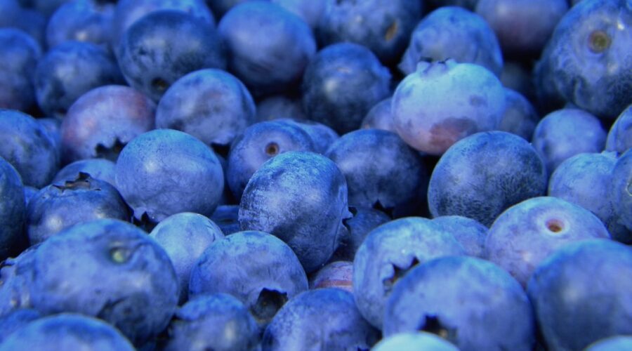 découvrez l'univers fascinant des fruits : des saveurs exquises, des bienfaits nutritifs et une variété infinie pour enrichir votre alimentation au quotidien.