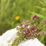 découvrez les bienfaits des remèdes naturels à base de plantes. notre guide vous propose des solutions efficaces pour soulager divers maux, améliorer votre santé et renforcer votre bien-être au quotidien grâce aux vertus des herbes.