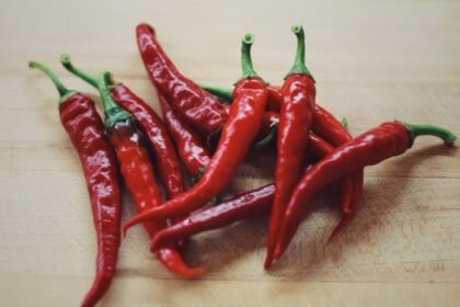 découvrez le chili, un pays aux paysages époustouflants, à la culture riche et à la gastronomie délicieuse. explorez ses déserts, ses montagnes majestueuses et sa côte spectaculaire. partez à l'aventure dans ce pays aux mille facettes.