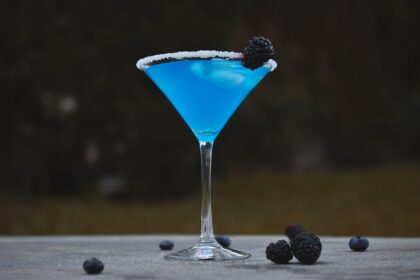 découvrez l'art des cocktails avec des recettes savoureuses et des conseils pour impressionner vos invités. apprenez à mélanger, shaker et décorer vos boissons préférées pour toutes les occasions.