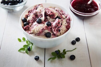 découvrez notre délicieuse sélection de sorbets faits maison, idéaux pour se rafraîchir lors des journées ensoleillées. goûtez à des saveurs authentiques et fruitées qui raviront vos papilles !