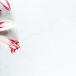 découvrez tout sur les endives : bienfaits, recettes variées et conseils de préparation. apprenez à apprécier ce légume croquant et savoureux dans une alimentation saine et équilibrée.