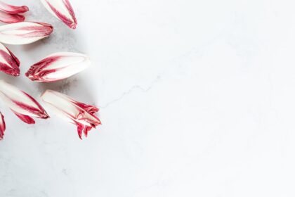 découvrez tout sur les endives : bienfaits, recettes variées et conseils de préparation. apprenez à apprécier ce légume croquant et savoureux dans une alimentation saine et équilibrée.