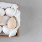 découvrez des recettes faciles et délicieuses pour régaler vos proches en un rien de temps. parfaites pour les débutants comme pour les cuisiniers expérimentés, ces recettes simplifient la préparation de vos plats préférés.