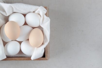 découvrez des recettes faciles et délicieuses pour régaler vos proches en un rien de temps. parfaites pour les débutants comme pour les cuisiniers expérimentés, ces recettes simplifient la préparation de vos plats préférés.